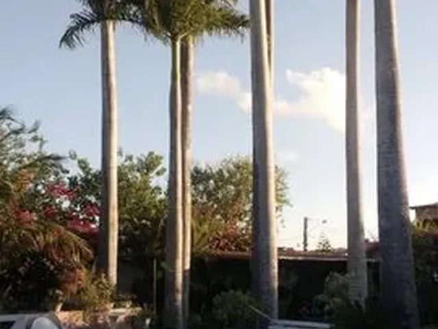 Imagem 4: Casa Mobiliada em Gravatá, 360 M², 05 Quartos (04 Suítes