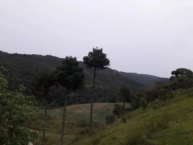 Imagem 2: Vendo Troco Chácara com venda por R$65.000