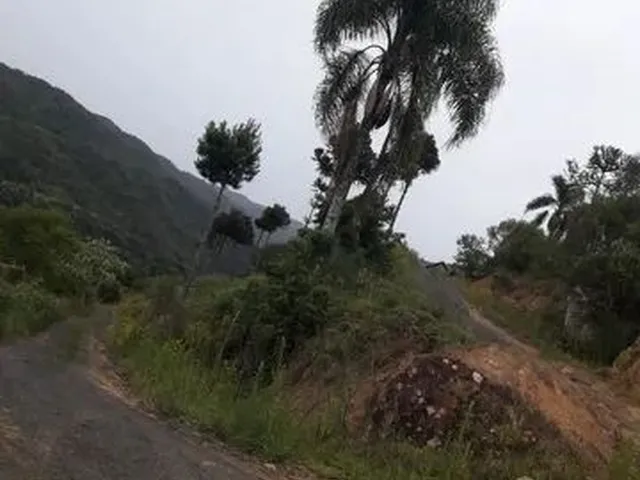 Imagem 3: Vendo Troco Chácara com venda por R$65.000