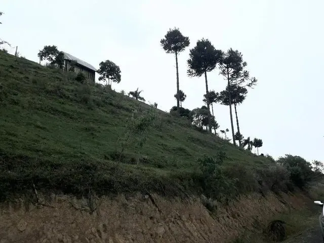 Imagem 4: Vendo Troco Chácara com venda por R$65.000
