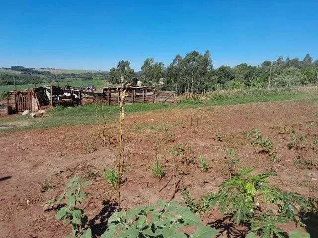 Imagem 11: Chácara 22.000Mt2
