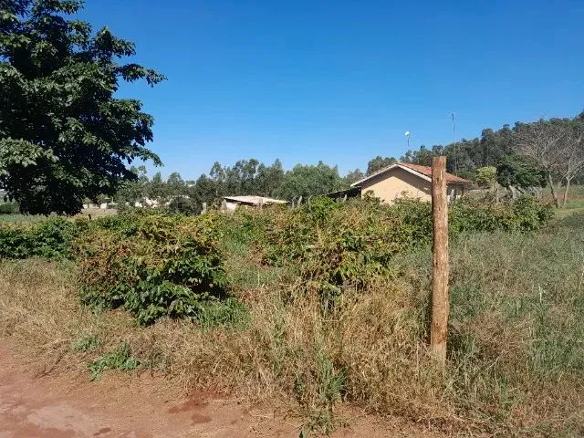 Imagem 10: Chácara 22.000Mt2