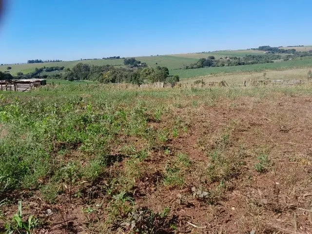 Imagem 15: Chácara 22.000Mt2