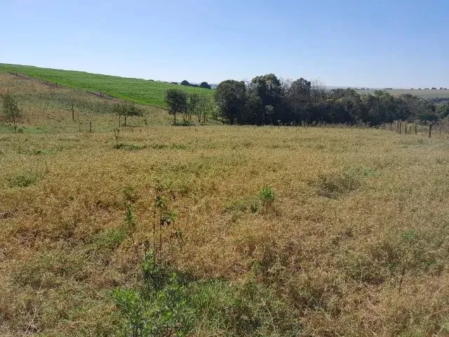 Imagem 16: Chácara 22.000Mt2