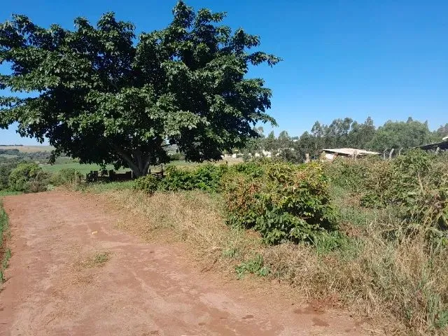 Imagem 9: Chácara 22.000Mt2