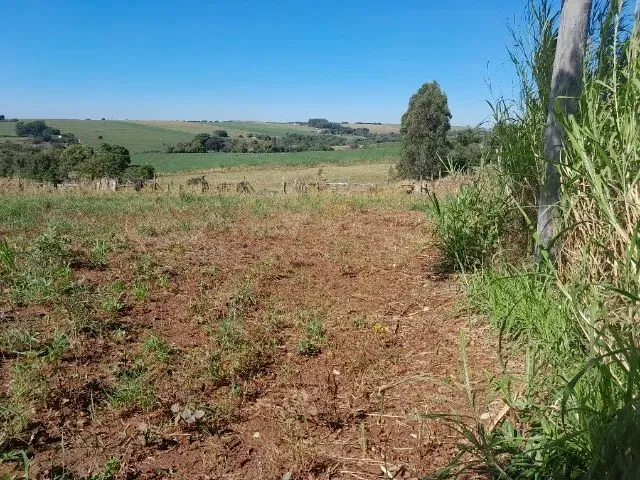Imagem 13: Chácara 22.000Mt2