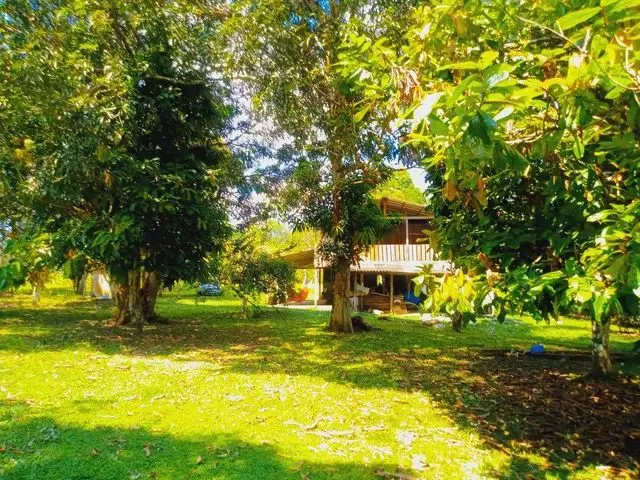 Imagem 5: Vende-Se Sítio no Rio Preto da Eva