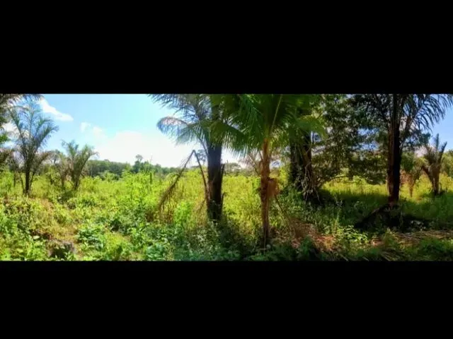 Imagem 9: Vende-Se Sítio no Rio Preto da Eva