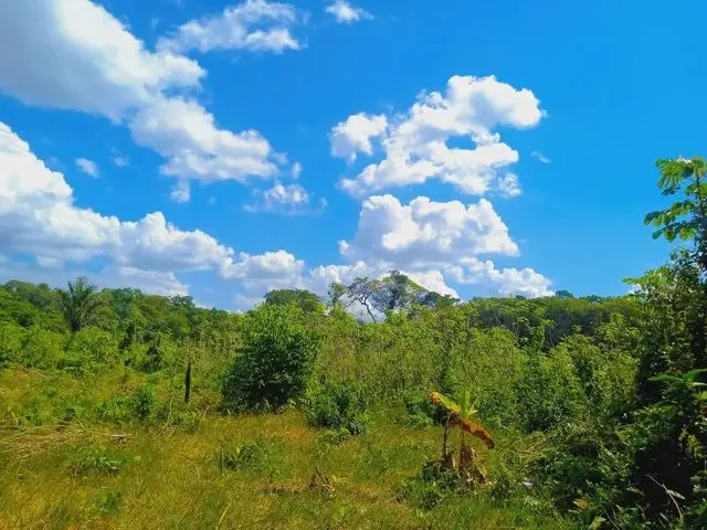 Imagem 11: Vende-Se Sítio no Rio Preto da Eva
