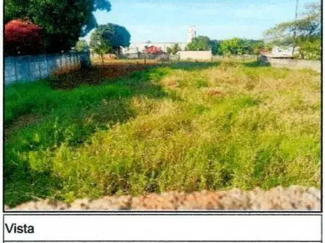 Imagem 9: Martinho Campos - Terreno Padrão