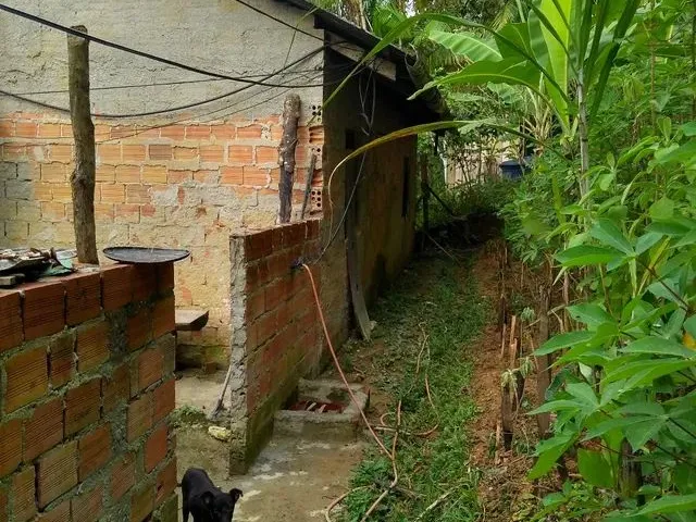 Imagem: Terreno em Antonina