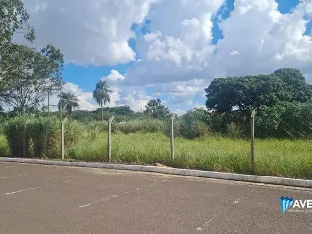 Imagem: Area Cônsul Assaf Trad