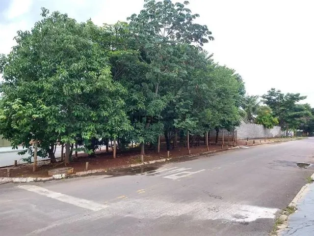 Imagem 3: 0 - Casa 3 Quartos, Sendo 1 Suíte