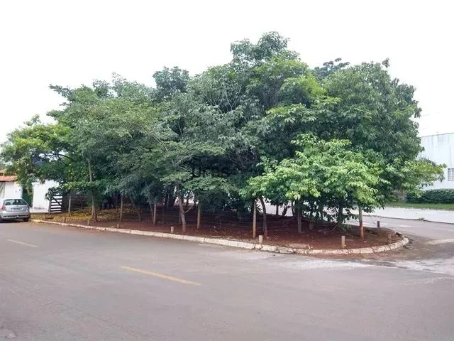 Imagem 15: 0 - Casa 3 Quartos, Sendo 1 Suíte
