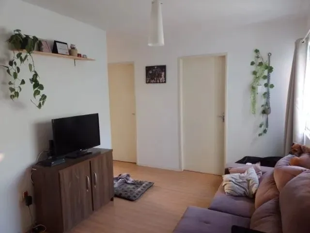 Imagem: Aluguel de Apartamento para Dividir Somente