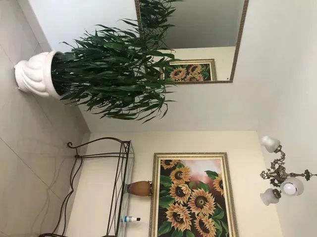 Imagem 2: Ótimo Apartamento Térreo , Mobiliado com 40 Metros Quadrados com 1 Quarto em Juvevê