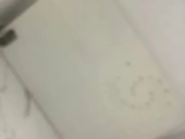Imagem 6: Excelente Residência Vila Planalto