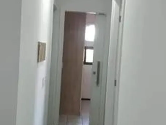 Imagem 10: Apartamentos 3 Dormitórios. Vieralves