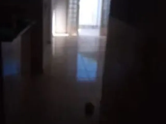 Imagem 2: Alugo Sobrado N P. Amazonas Novo
