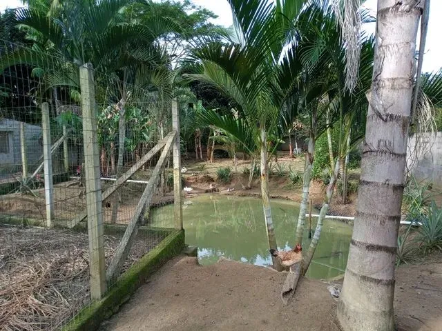 Imagem 2: Chácara em Ana Dias ( Itariri