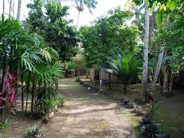 Imagem 5: Chácara em Ana Dias ( Itariri