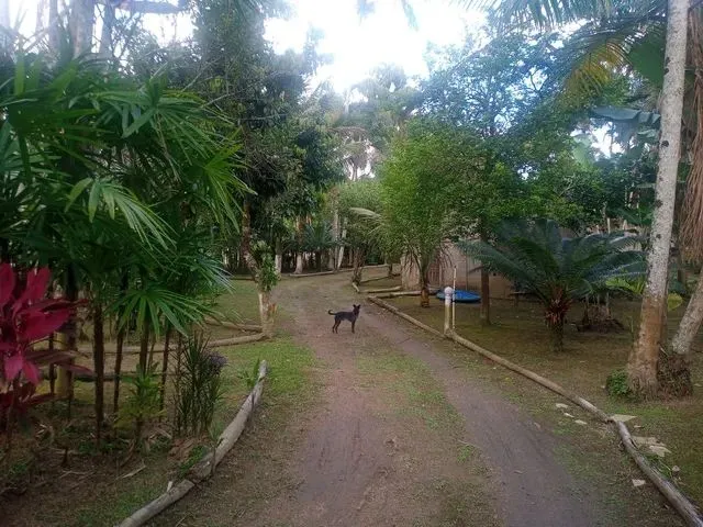 Imagem 3: Chácara em Ana Dias ( Itariri