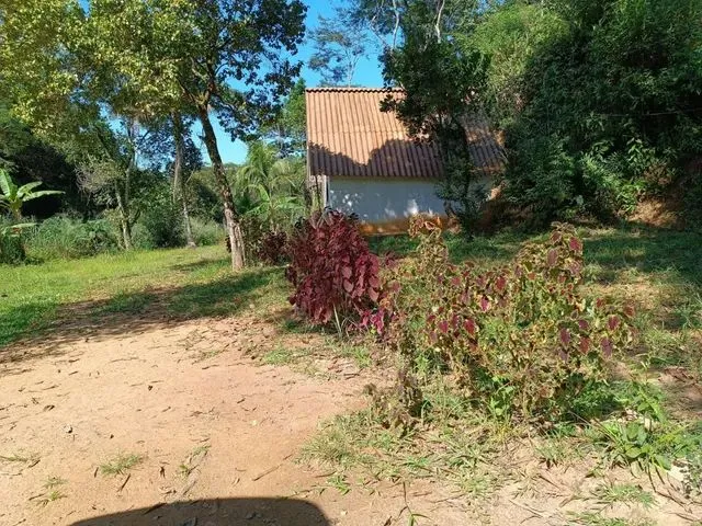 Imagem 8: Vendo Sítio em Adrianoplis (Nova Iguaçu