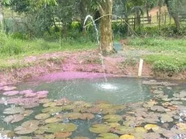 Imagem 3: Vendo Sítio em Adrianoplis (Nova Iguaçu