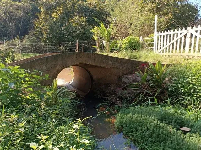 Imagem 6: Vendo Sítio em Adrianoplis (Nova Iguaçu