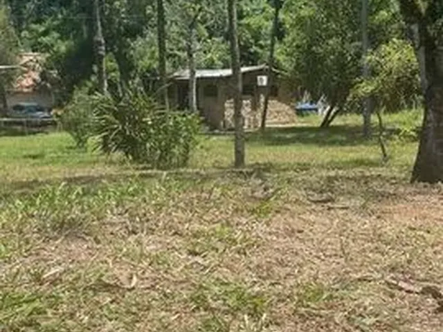 Imagem 12: Vendo Sítio em Adrianoplis (Nova Iguaçu