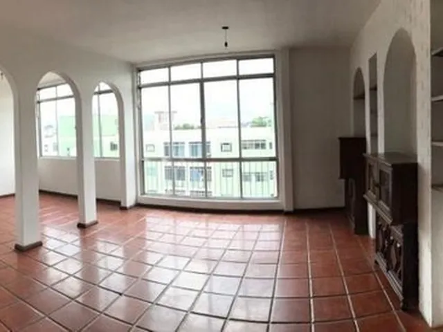 Imagem 3: Vendo Apto de 3 Quartos na Vila