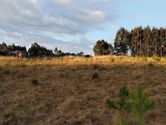 Imagem: Chácara Próxima Ao Aeroporto