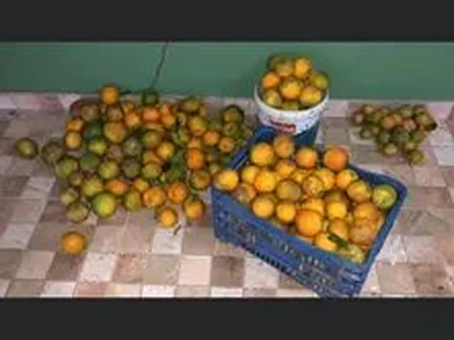 Imagem 3: Vendo Propriedade