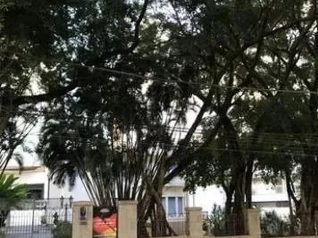 Imagem 3: Casa para Aluguel com 772 Metros Quadrados com 3 Quartos em Centro - Florianópolis - Sc