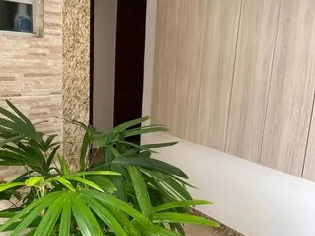 Imagem 15: Alugo Apartamento Serra Verde