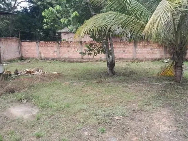 Imagem: Aluguel Ou Venda