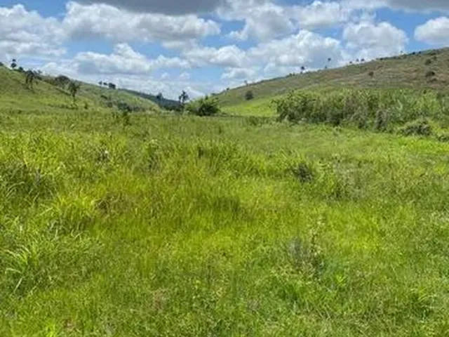 Imagem: Fazenda de Luxo - 70 Km de Teófilo Otoni