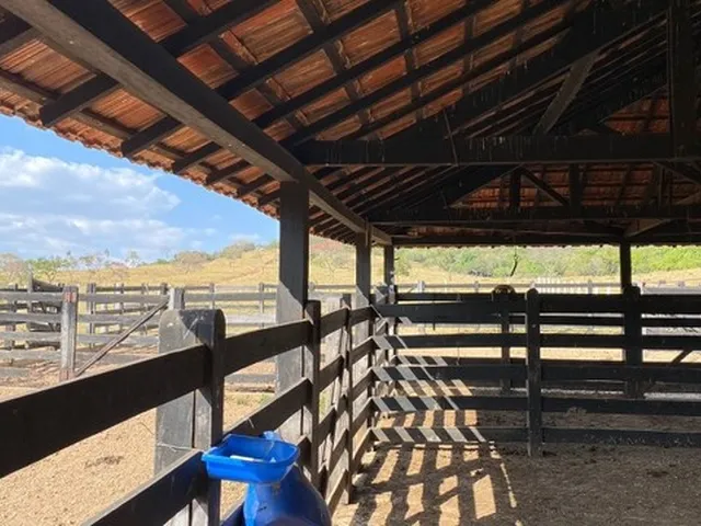 Imagem 2: Fazenda de 120 Alqueires em Pirenópolis