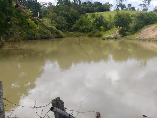 Imagem 5: Fazenda de 120 Alqueires em Pirenópolis