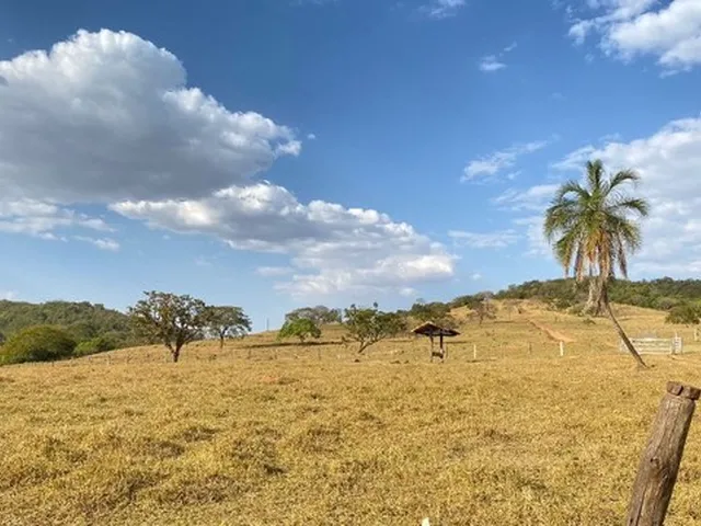 Imagem 4: Fazenda de 120 Alqueires em Pirenópolis