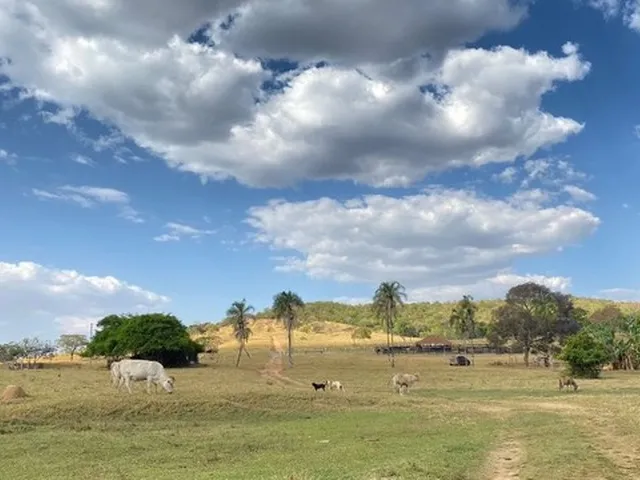Imagem 6: Fazenda de 120 Alqueires em Pirenópolis
