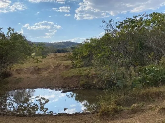 Imagem 8: Fazenda de 120 Alqueires em Pirenópolis