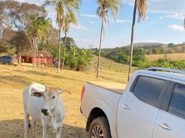 Imagem 3: Fazenda de 120 Alqueires em Pirenópolis
