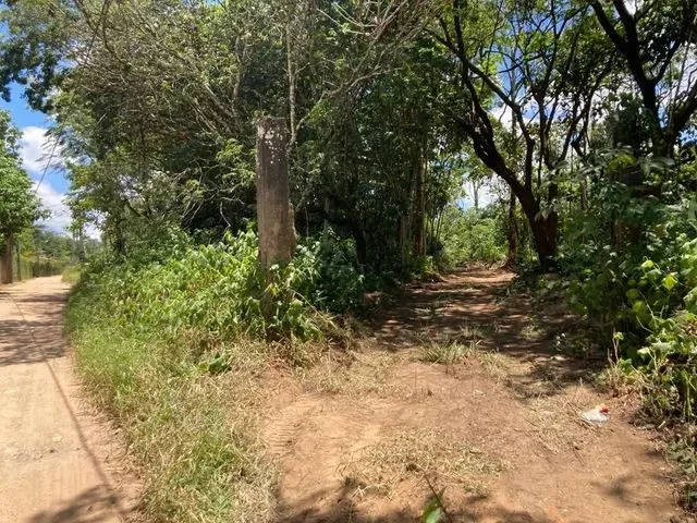 Imagem: Terrenos em Aldeia 5000M2