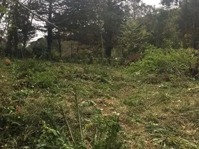 Imagem 4: Chácara São Francisco de Paula