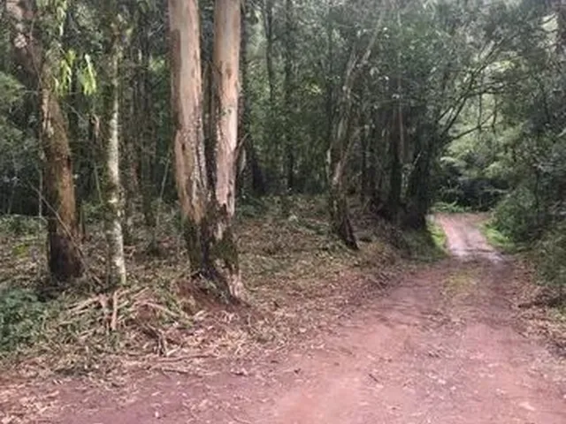 Imagem 5: Chácara São Francisco de Paula