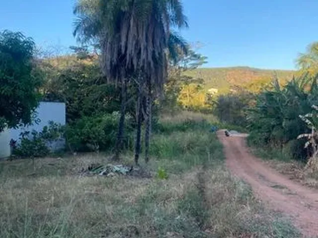 Imagem 3: Oportunidade - Lotes Serrano 02