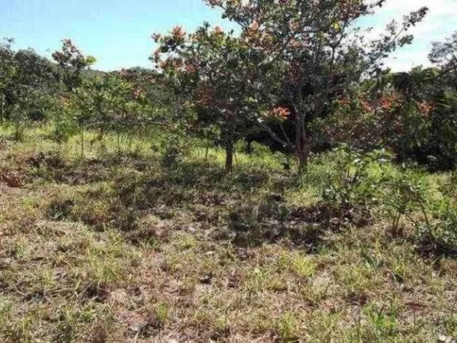Imagem: Chácara de 1.700M² Poço de Peixe, Toda
