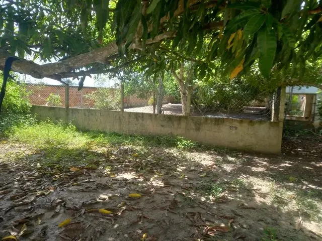 Imagem: Vende-Se Sítio - Inhambupe - Bahia