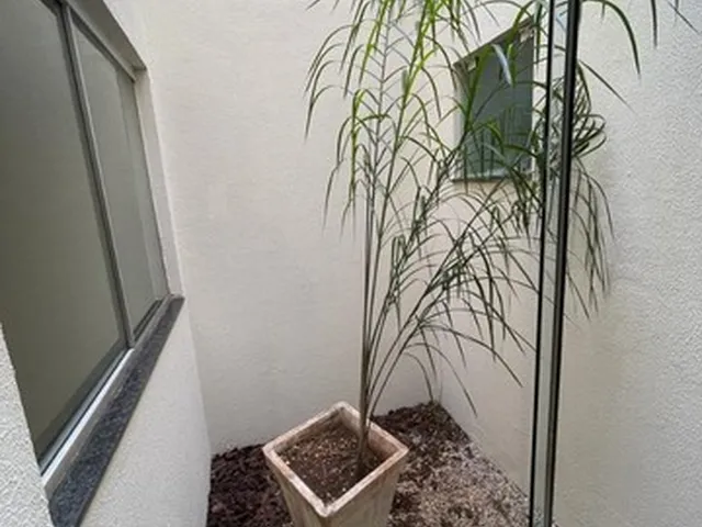 Imagem 2: Linda Casa na Vila Morúmbi (03 Quartos)